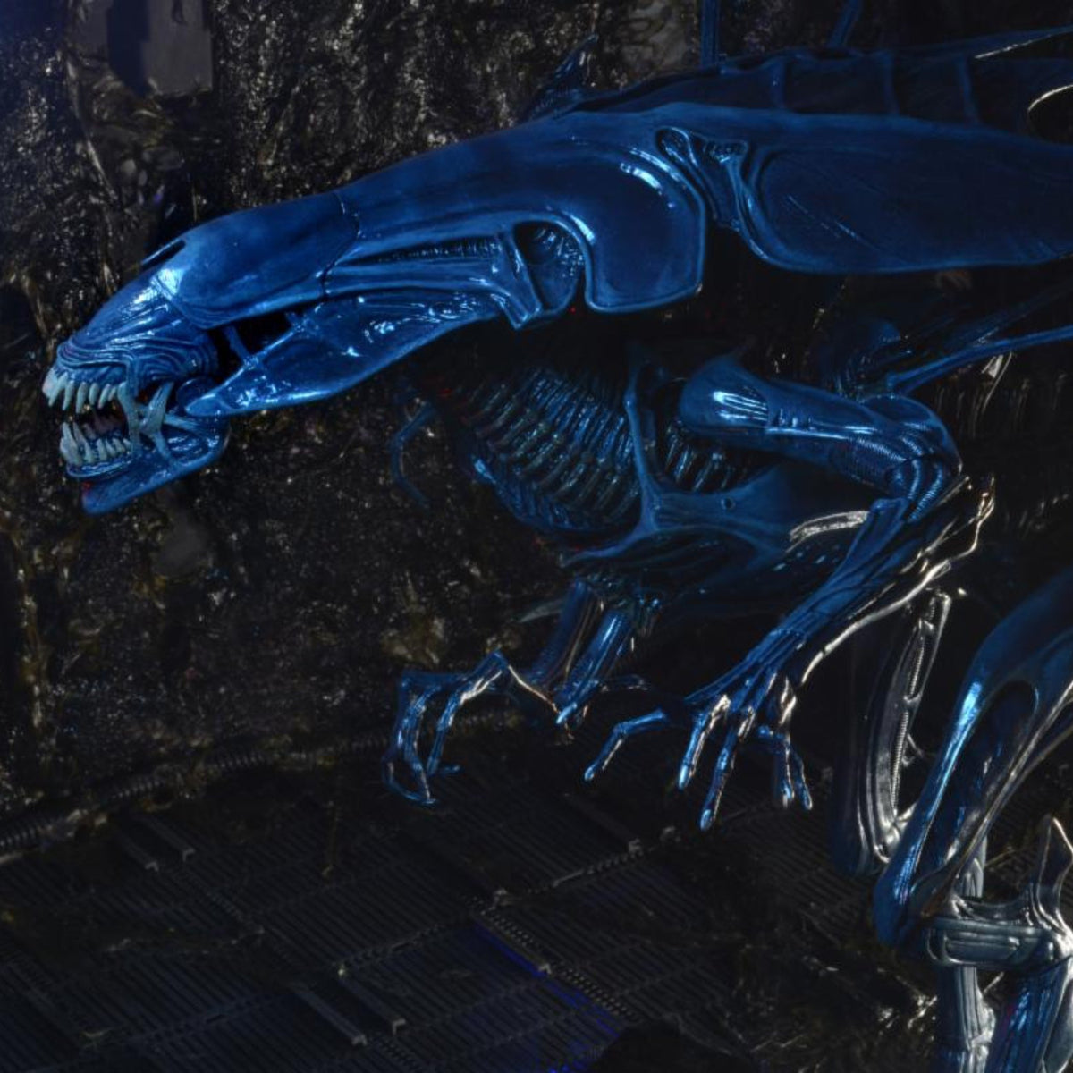 Aliens 1986 Queen