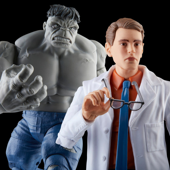 Marvel Legends Gray Hulk and Dr. Bruce Banner 2Pack — Nerdzoic Toy Store