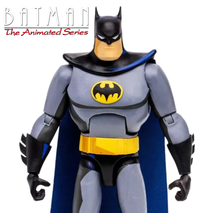 DC Direct Exclusive Batman - The Animated Series COMPLETE SET OF 4 (Condiment King BAF)