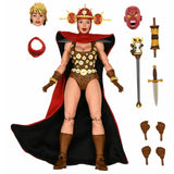 NECA Teenage Mutant Ninja Turtles Renet (Mirage Comics)