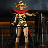 NECA Teenage Mutant Ninja Turtles Renet (Mirage Comics)