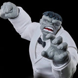 Marvel Legends Wolverine 50th Anniversary Joe Fixit & Patch 2-Pack