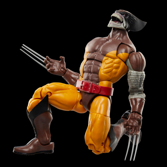 Wolverine Brood Marvel Legends Wolverine 50th Anniversary Brood Wolverine and Lilandra ...