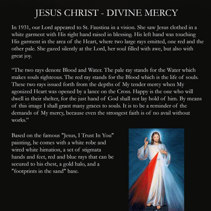 Biblical Adventures Jesus (Divine Mercy)