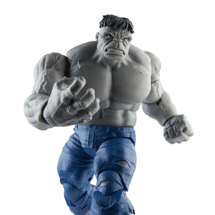Marvel Legends Gray Hulk and Dr. Bruce Banner 2-Pack