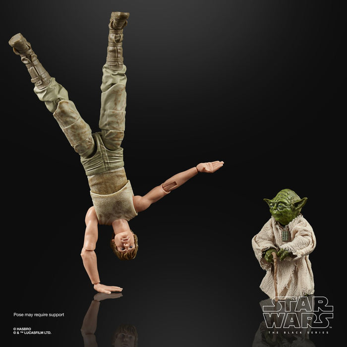 Star Wars Black Series 40th Anniversary Deluxe Luke Skywalker & Yoda (Jedi Training) 2-Pack