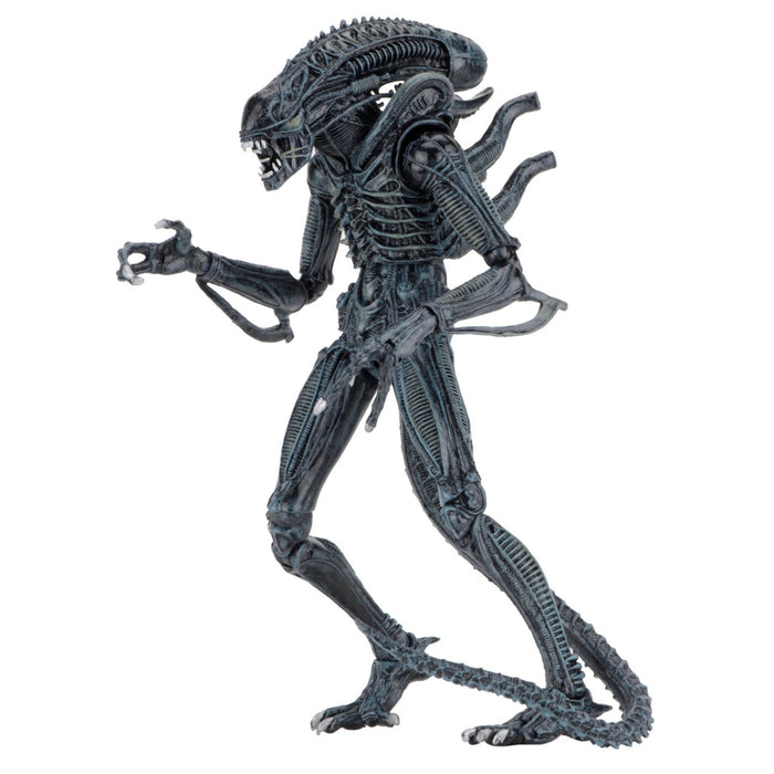 NECA Ultimate Aliens Warrior (Blue)