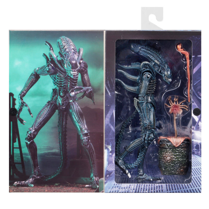 NECA Ultimate Aliens Warrior (Blue)