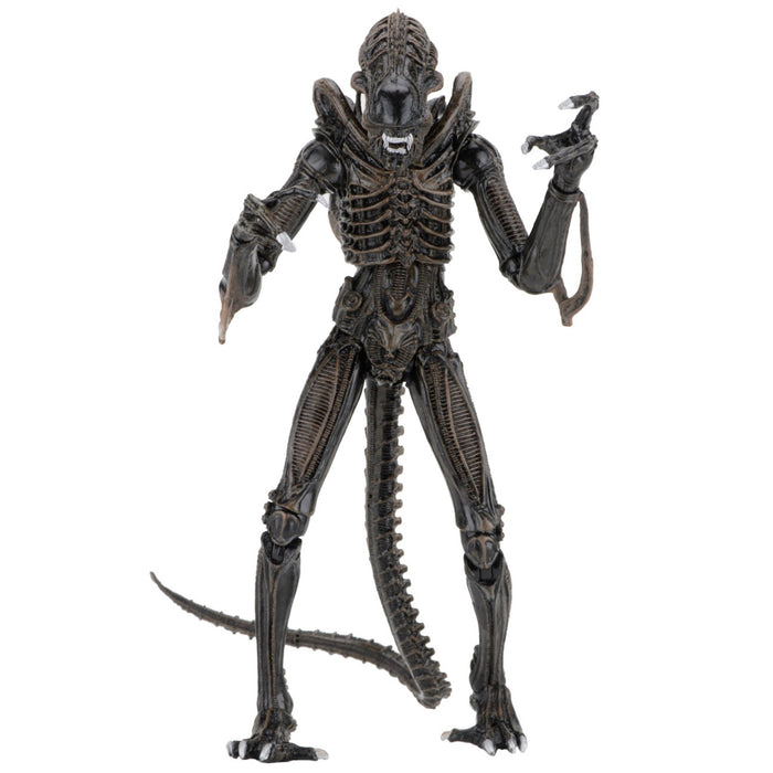 1877: Ultimate Alien Warrior | The Figure In Question 1877: Ultimate Alien Warrior | The Figure In Question