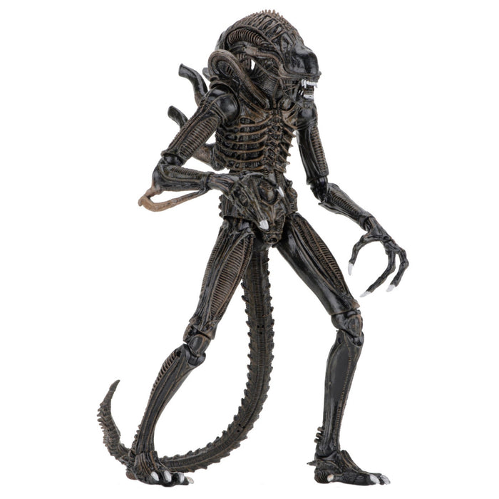 1877: Ultimate Alien Warrior | The Figure In Question 1877: Ultimate Alien Warrior | The Figure In Question
