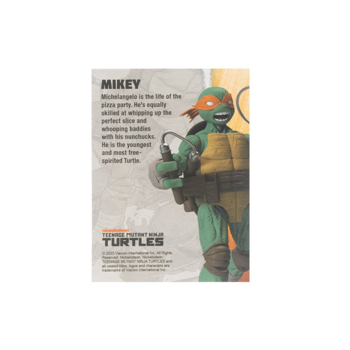 Teenage Mutant Ninja Turtles BST AXN IDW Comic Michelangelo
