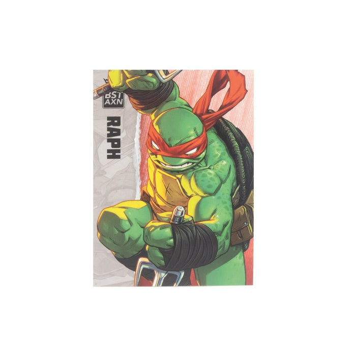 Teenage Mutant Ninja Turtles - Raphael BST AXN 5 Action Figure