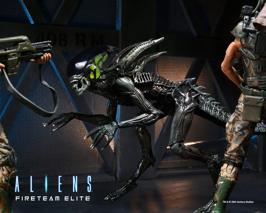NECA Ultimate Aliens Warrior (Brown) — Nerdzoic Toy Store